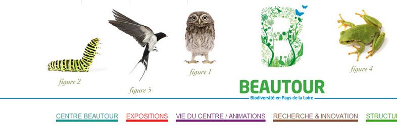 Beautour Website