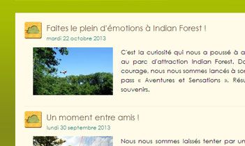 Indian Forest Blog - Terre Aventure